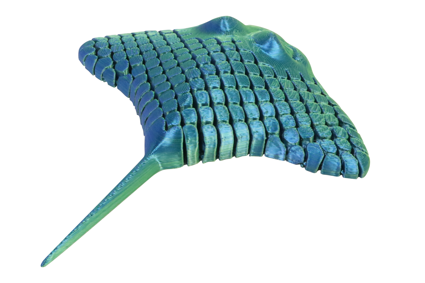 3D Printed Manta Ray