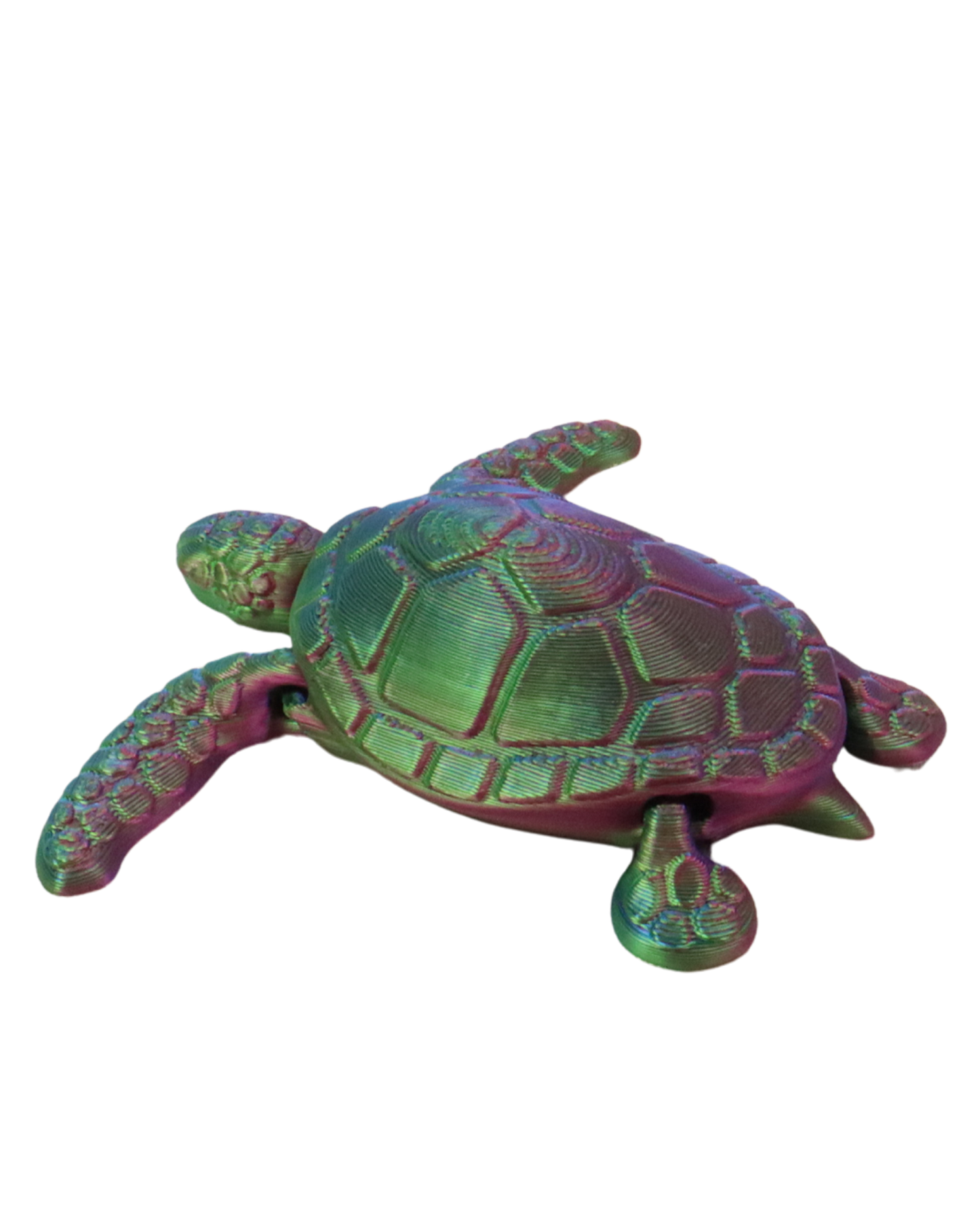 3D Printed Sea Turtle