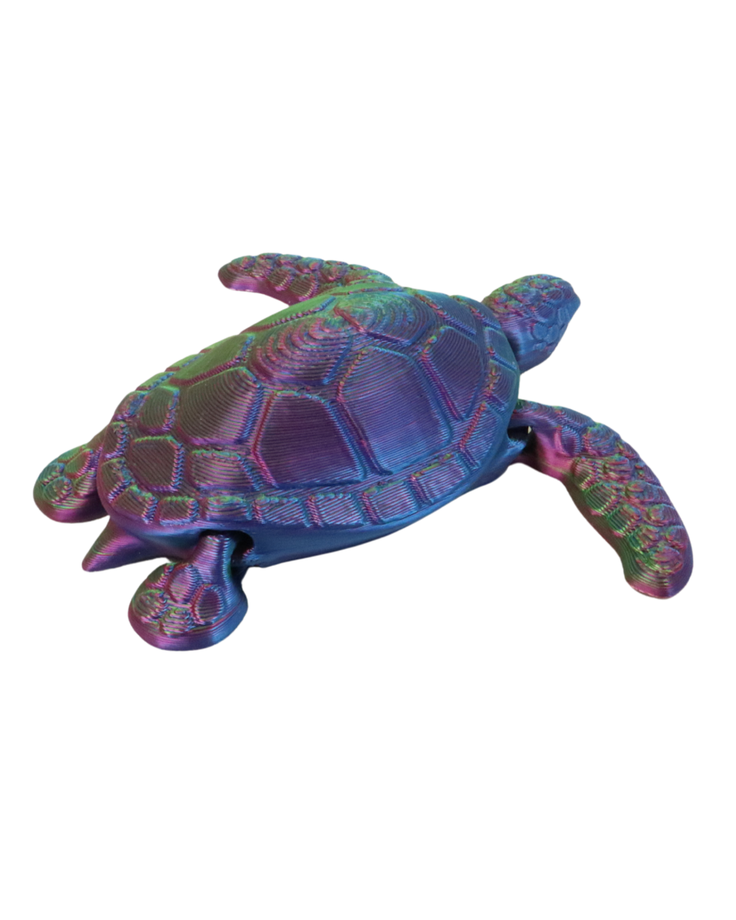 3D Printed Sea Turtle