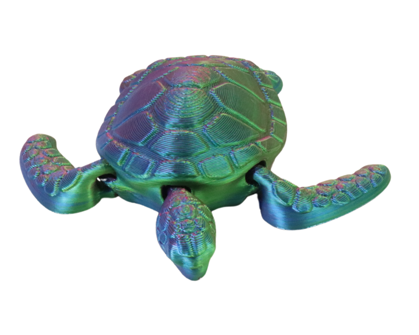 3D Printed Sea Turtle