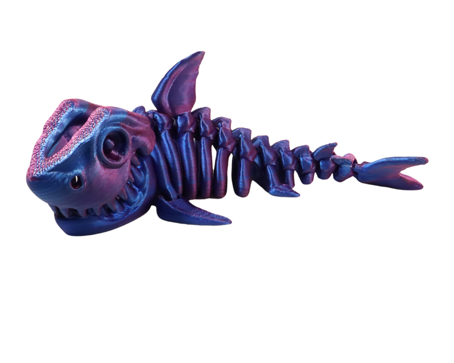 3D Printed Shark Skeleton