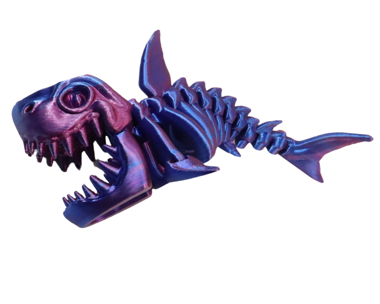 3D Printed Shark Skeleton