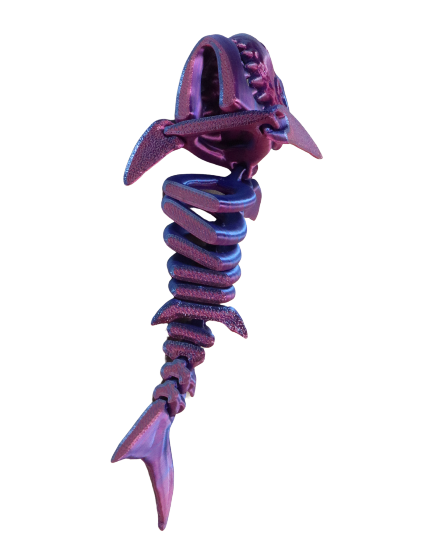 3D Printed Shark Skeleton