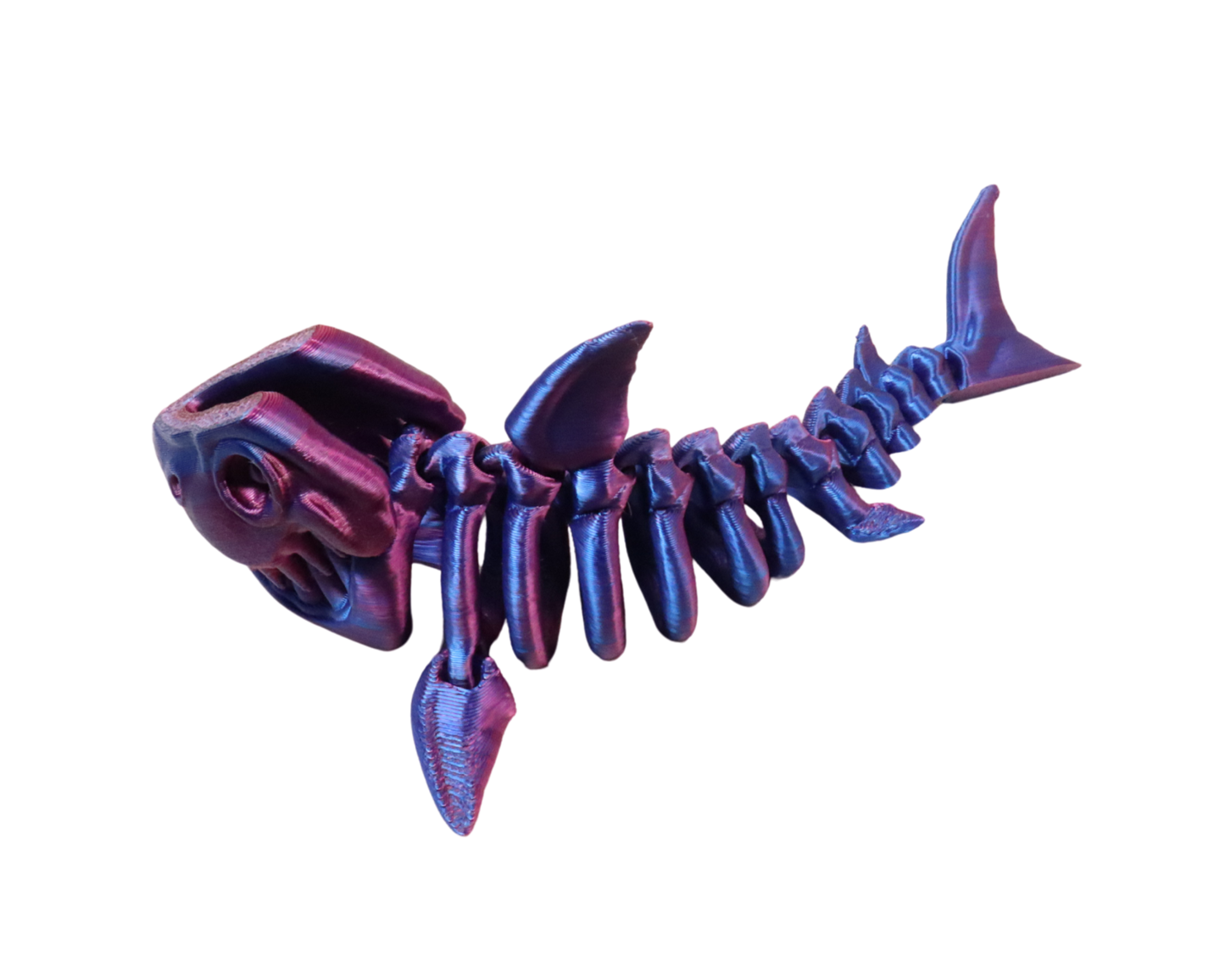 3D Printed Shark Skeleton