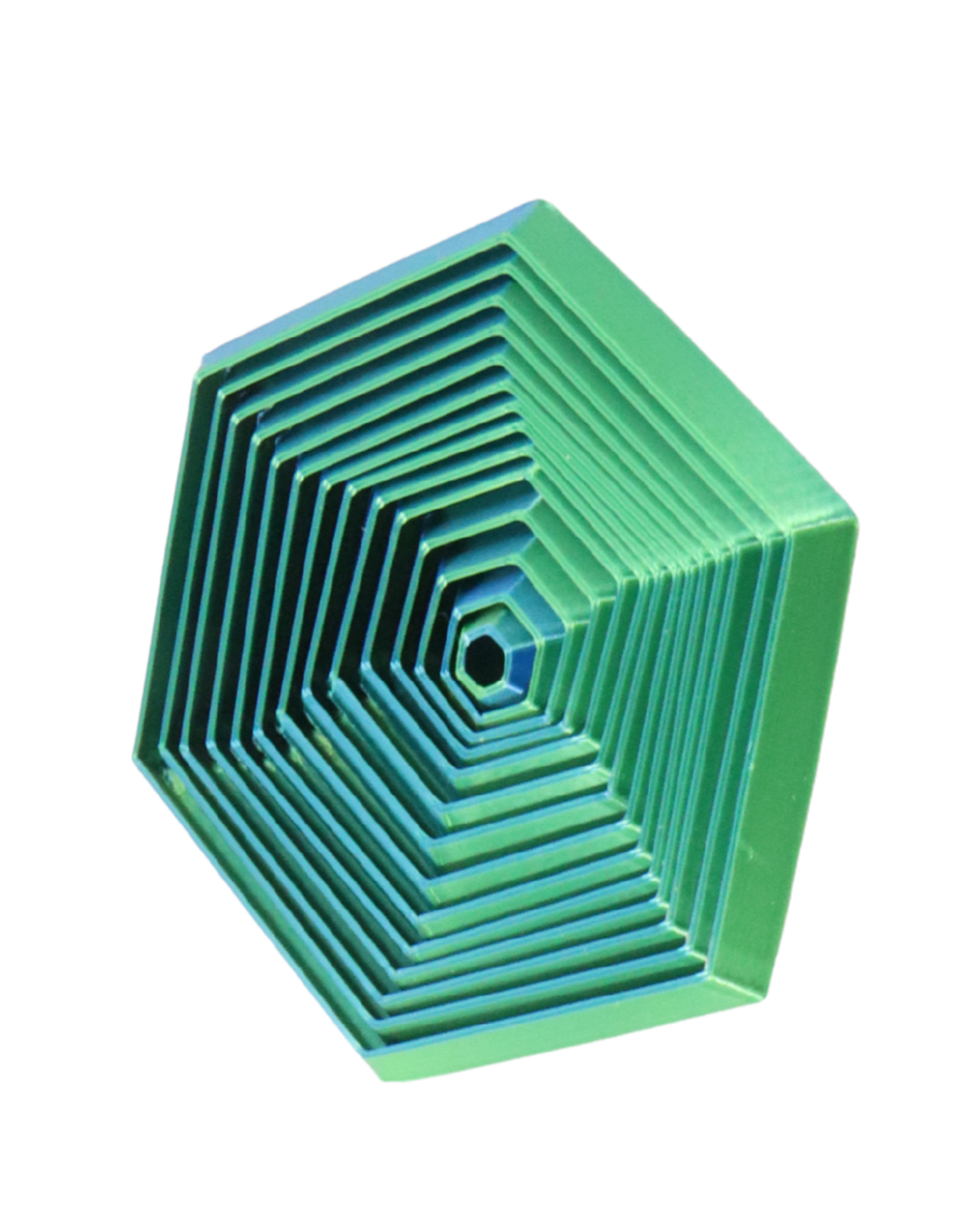 3D Printed Fidget