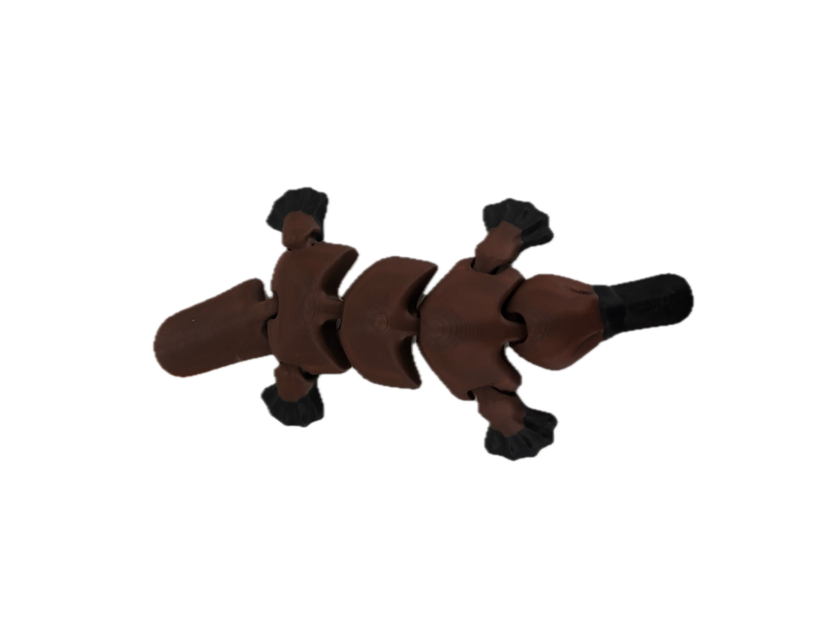 3D Printed Platypus