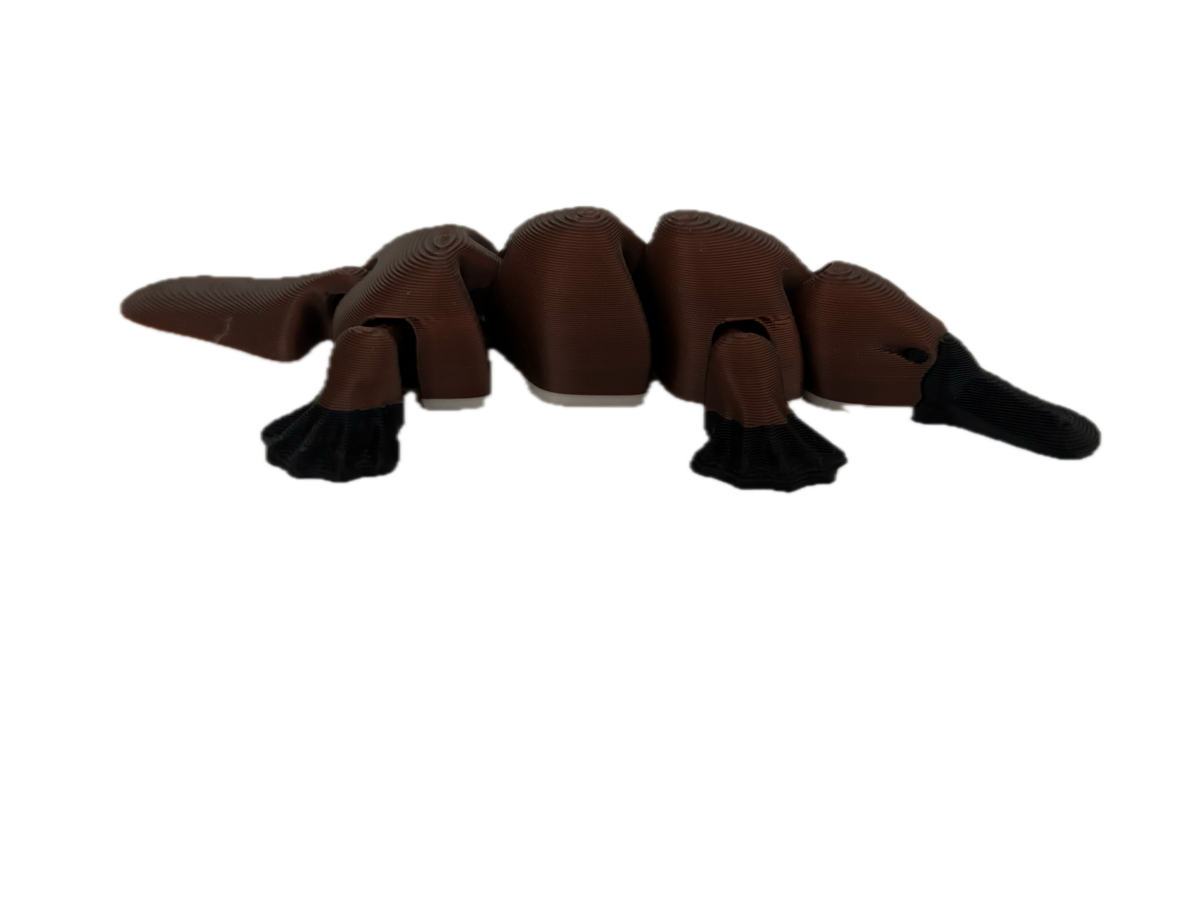 3D Printed Platypus