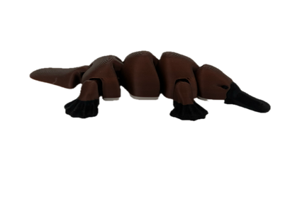 3D Printed Platypus