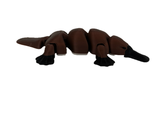 3D Printed Platypus