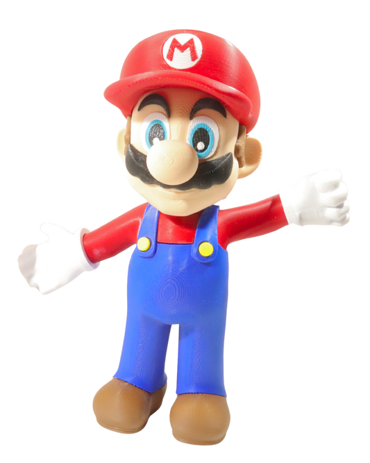 3D Printed Mario