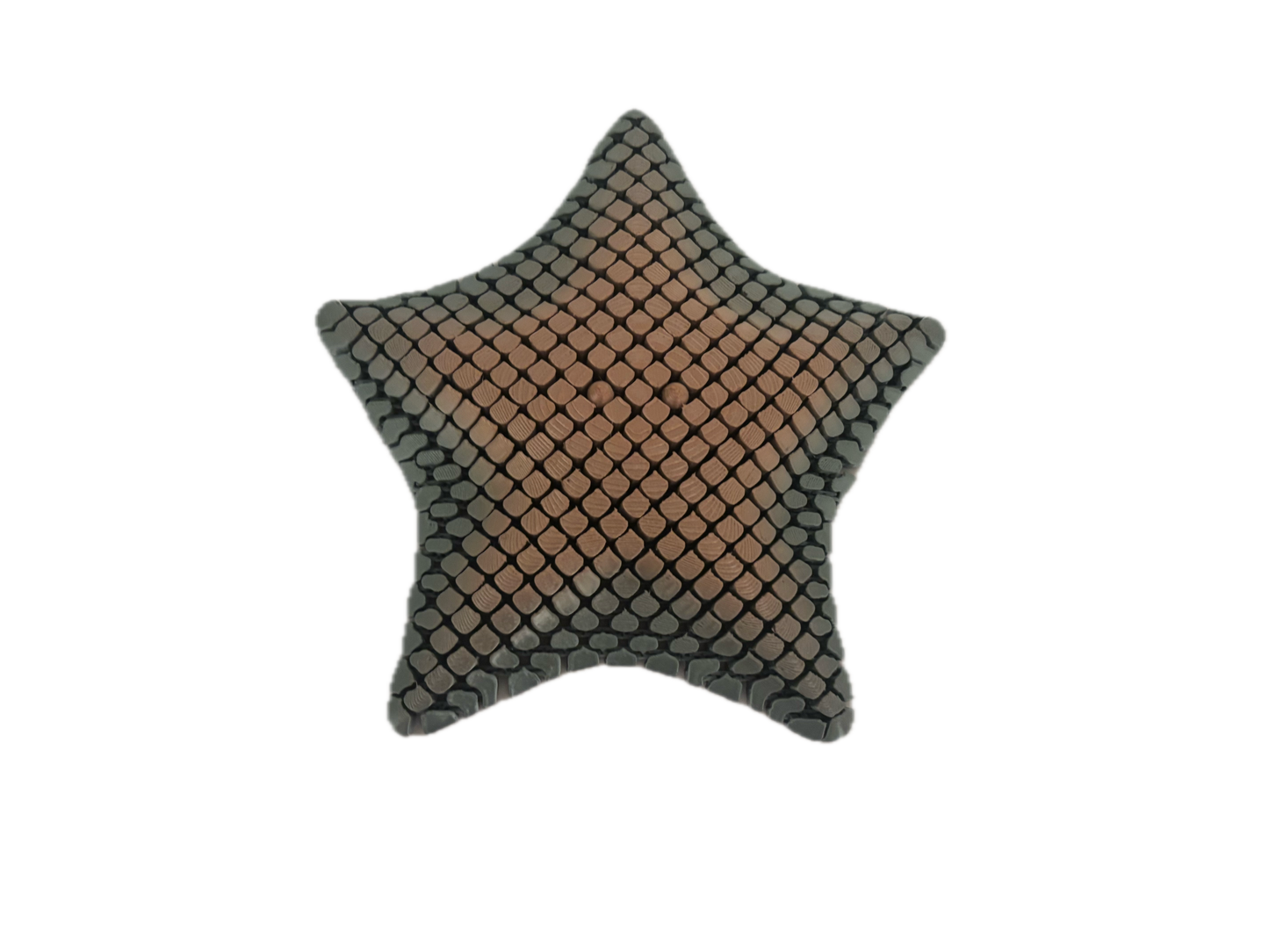 3D Printed Starfish