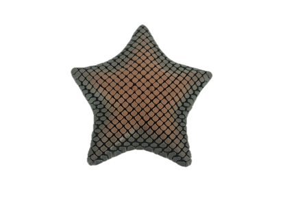 3D Printed Starfish