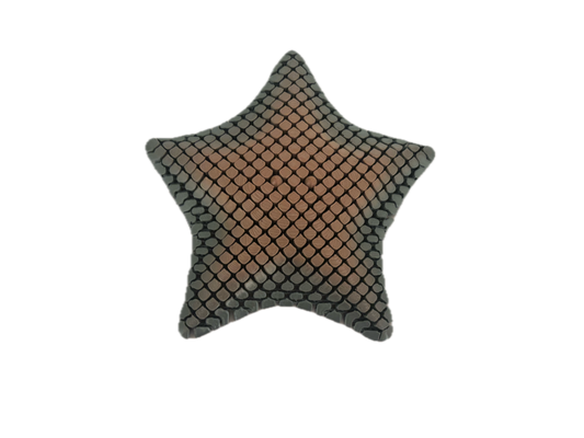 3D Printed Starfish