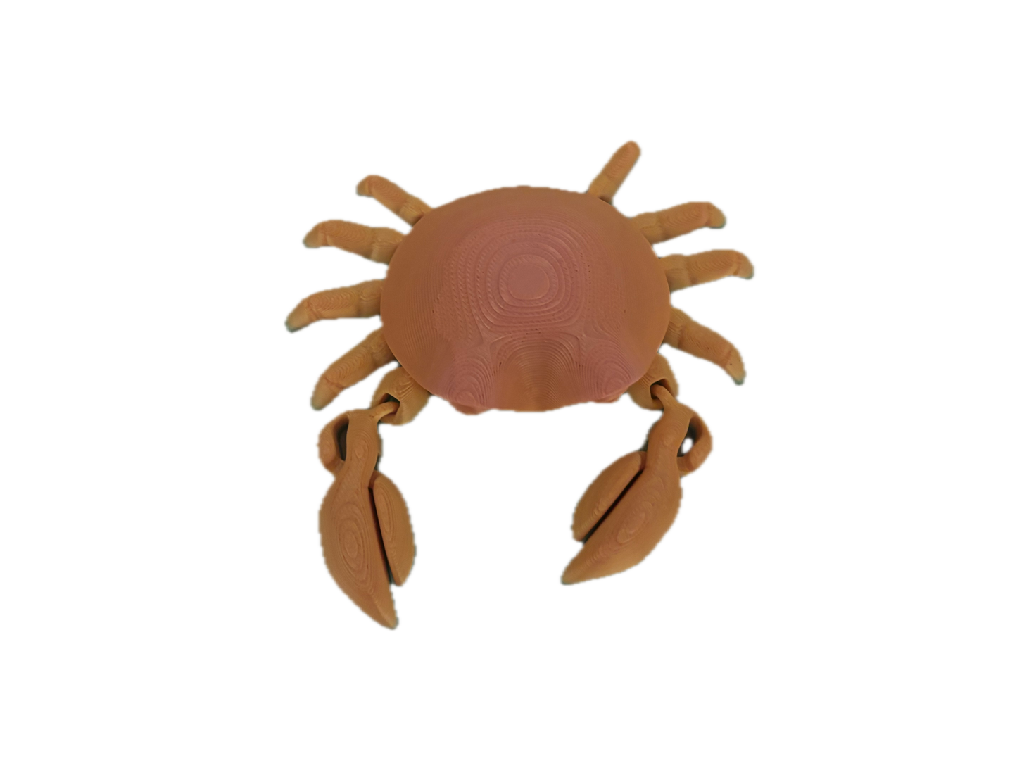 3D Printed Crab